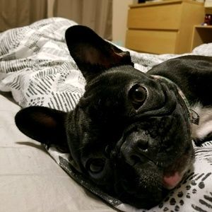 Meet your Posher, C.